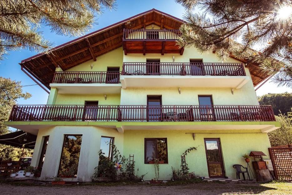 Grandemi Belvedere Bucovina Frasin Εξωτερικό φωτογραφία