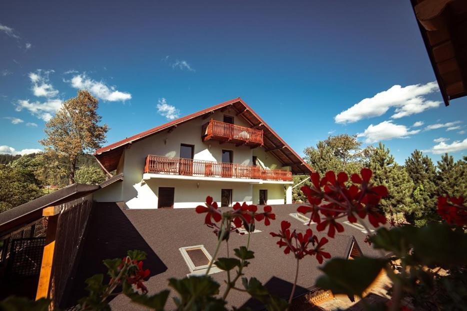 Grandemi Belvedere Bucovina Frasin Εξωτερικό φωτογραφία