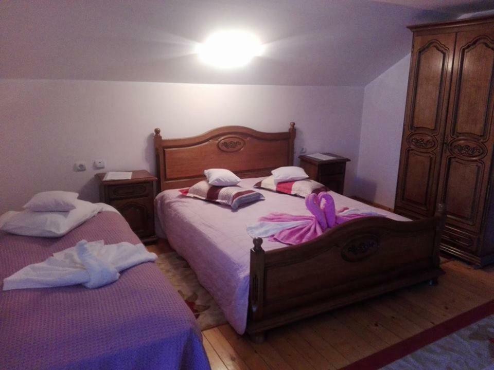 Grandemi Belvedere Bucovina Frasin Εξωτερικό φωτογραφία